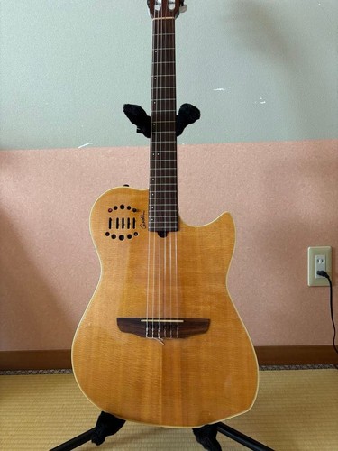Guitare électrique acoustique