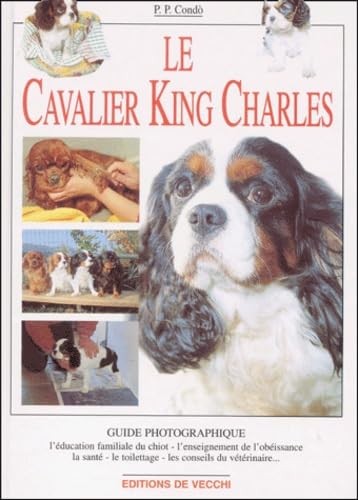 Cavalier king charles - cavalier,