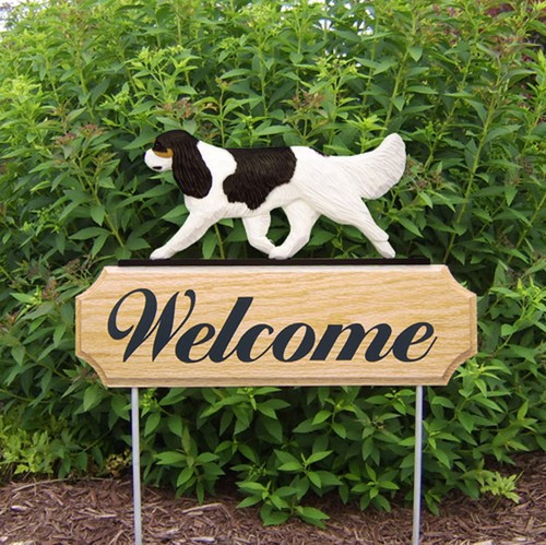 Cavalier king charles wood - cavalier,