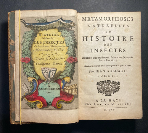 Goedaert histoire naturelle - goedaert;,