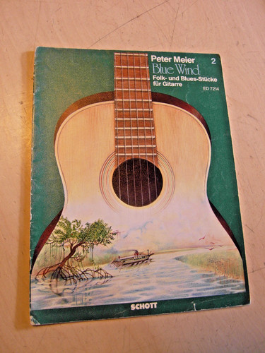 Ancienne guitare peter meier - guitare,