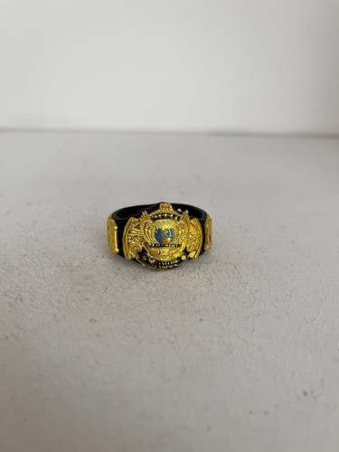 Wwe wwf classique - wwe, ailes