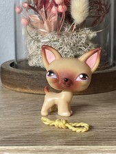 ??Petshop Dog Chihuahua Number 1 Authentic??