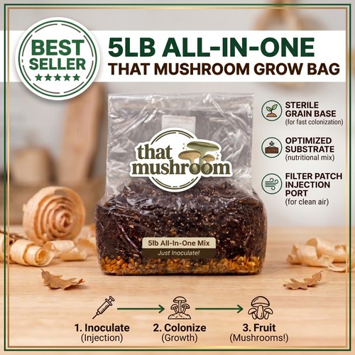 All one mushroom grow bag - mushroom,