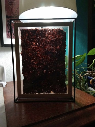 Vitrine design deco verre