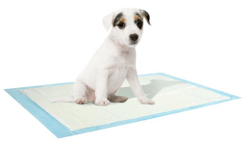 Tapis éducation - tapis, d'éducation