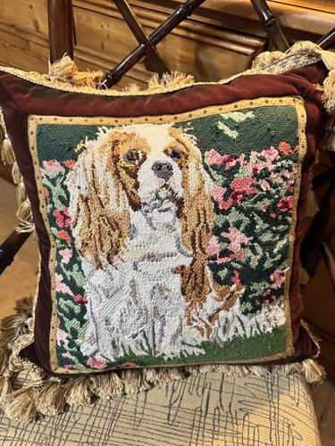 Cavalier king charles - cavalier,