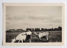 Garçon campagne chapeau paille chèvres animaux - Photo vintage snapshot