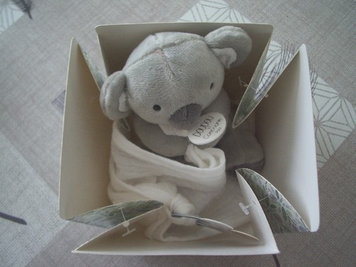 Doudou compagnie koala - koala, +