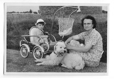 SPRAM, STROLLER child, real dog photo (snapshot) dim: 9/13cm