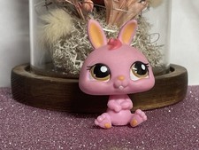 🌸 petshop dwarf rabbit
