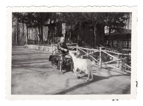 G1681 homme sur - homme, puch