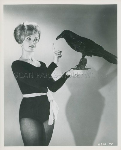 Hazel court the raven - court,