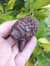 Fourneau de Pipe Sculptée