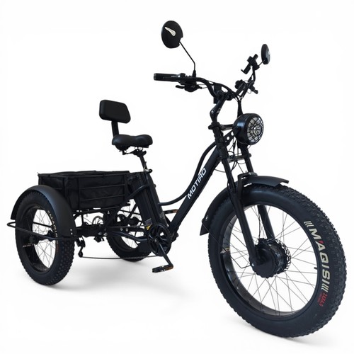 Tricycle fatbike vélo - tricycle, cargo