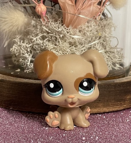 Petshop chien boxer chiot - chien,