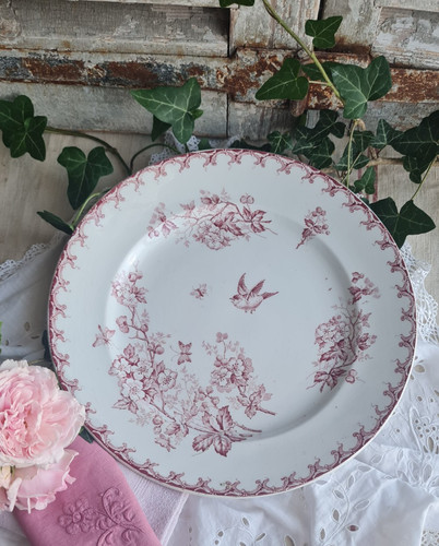 Ancien plat rond aubepine - ancien,