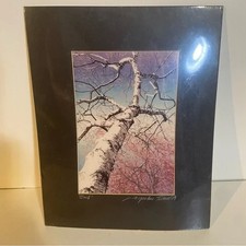 “Birch" Etching Signed By Jacqueline Tuteur Dated '09 Matted, Not Framed