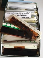 lot vrac photo de famille sur