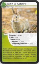 Super U Card - Bioviva! - Garenne Rabbit