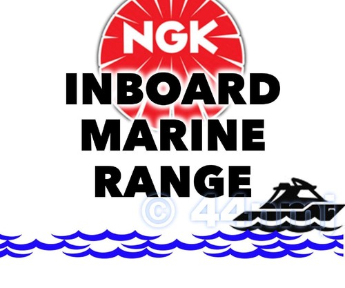 Ngk bougie prise pour marine - bougie,