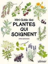 Mini-guide des plantes qui