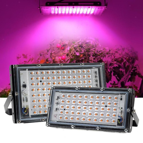 50w 100w lumière - 50w, de