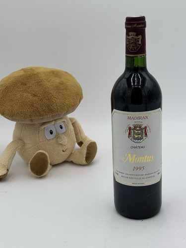 Chateau montus 1995 - chateau,