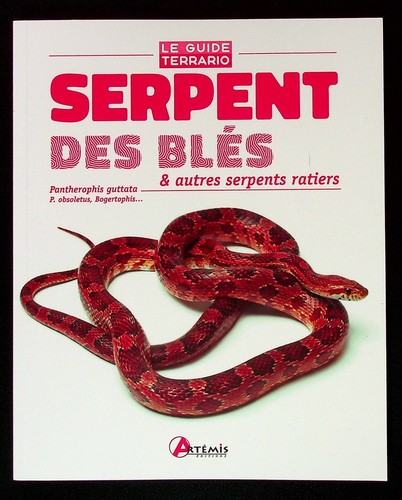 Serpent des bles autres - serpent,