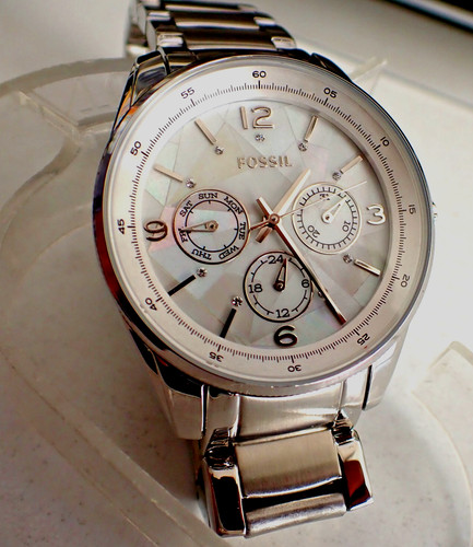 Remarquable mtr fossil - remarquable,