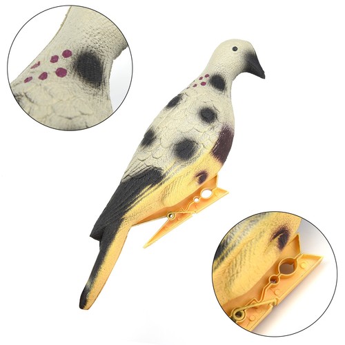 Cible pour pigeon - , creux