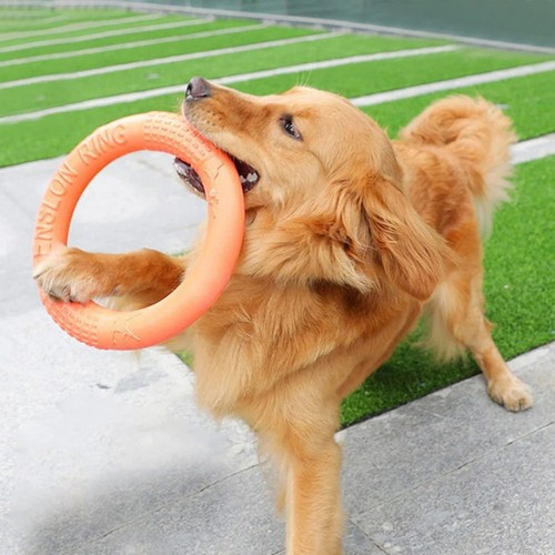 Jouet chien interactif - jouet, anneau