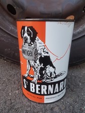 Rare St Bernard pleine