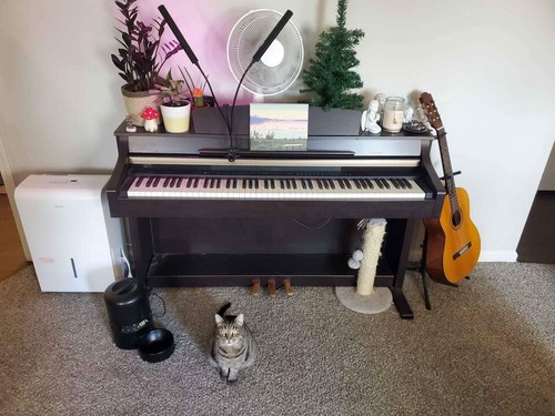 Yamaha digital piano clp 330 - digital,