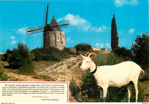 Carte postale - 13,