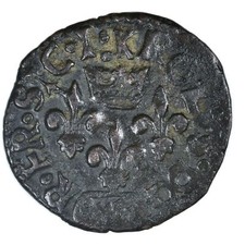 Charles VIII Cavallo Sulmona