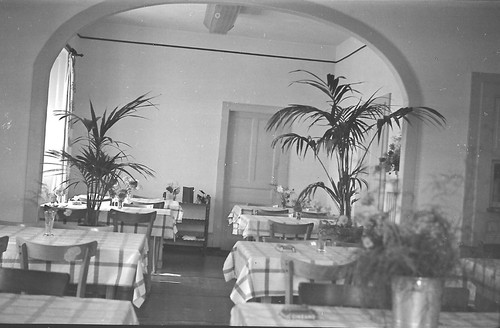 Plaque verre photo ancienne