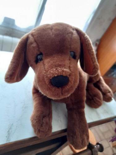 Peluche interactive chien - peluche,