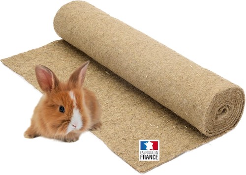 Tapis paille pour - de,