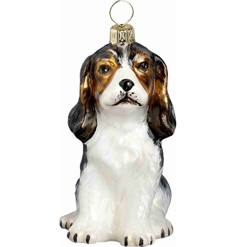 Tri color cavalier - color, king
