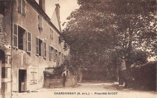 Cpa chardonnay propriete - chardonnay,