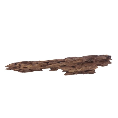 Honey peigne racine 3056 - xl,