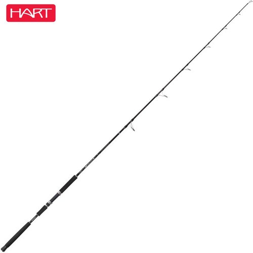 Hart offshore casting rod - rod, toro