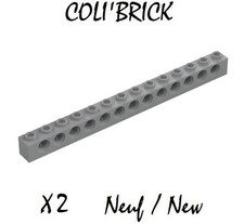 Lego 32018 - 2x Brique Technic