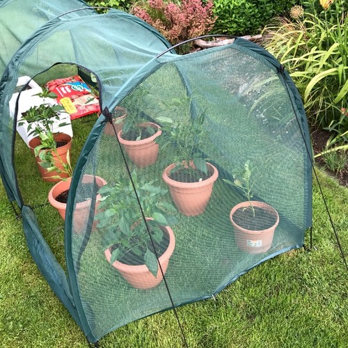 Serre tunnel jardin filet - jardin,