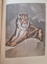 Illustré moderne Paul Jouve