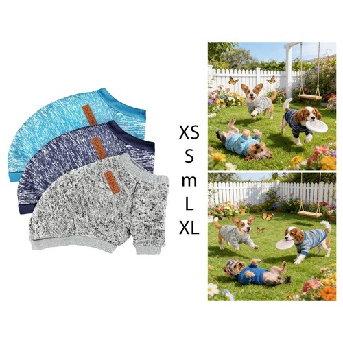 Ensemble pull pour chien - ensemble,