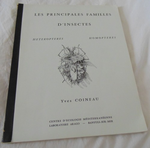 Les principales insectes - les,