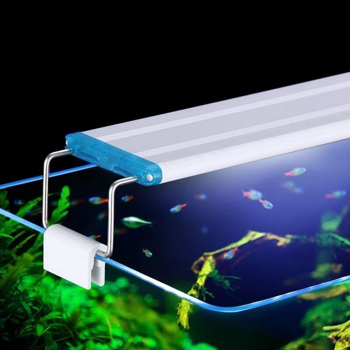 Aquarium lighting aquatic - aquarium,