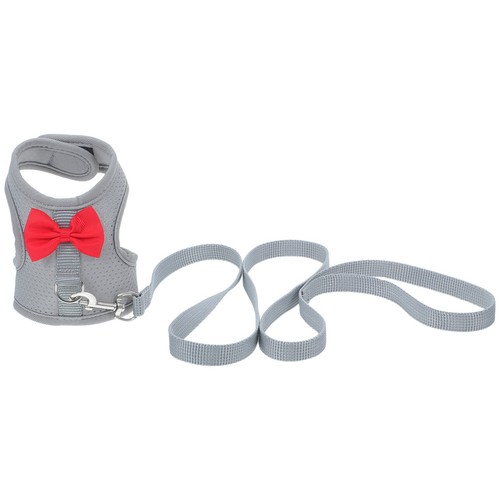 Lapin accessoires harnais - lapin, de